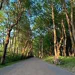 Milomi * Kolobřeh